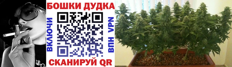 Где купить наркоту Сертолово Кокаин Метадон ГАШИШ Каннабис Мефедрон