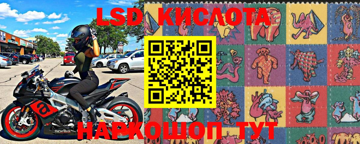 LSD-25 Сертолово