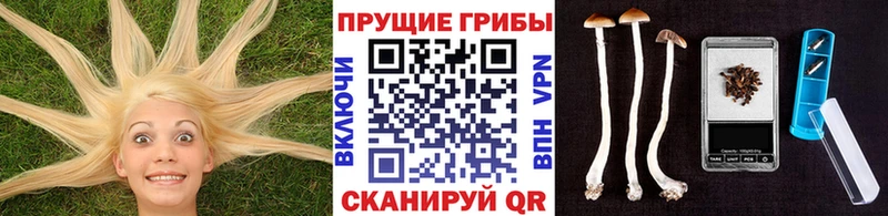 Галлюциногенные грибы ЛСД  купить наркотик  KRAKEN ССЫЛКА  Сертолово 