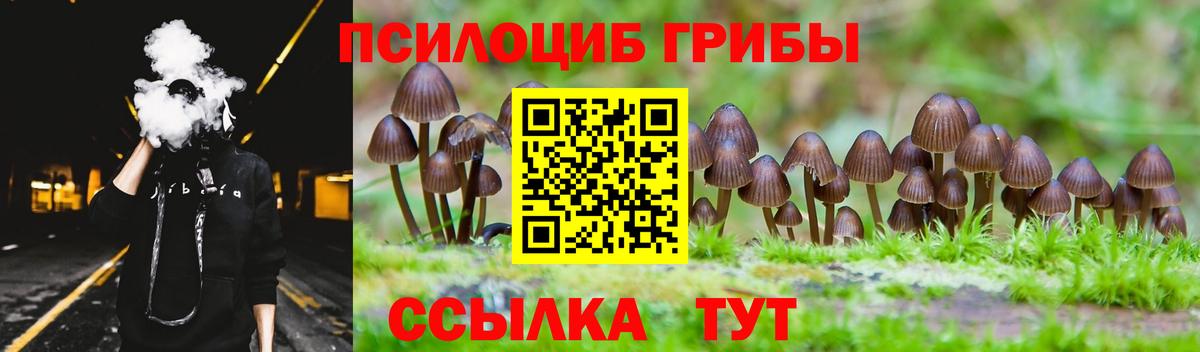 Сертолово  Галлюциногенные грибы MAGIC MUSHROOMS  Вход с VPN 